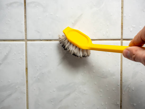 Best Emergency Mold Removal  in University Park, TX