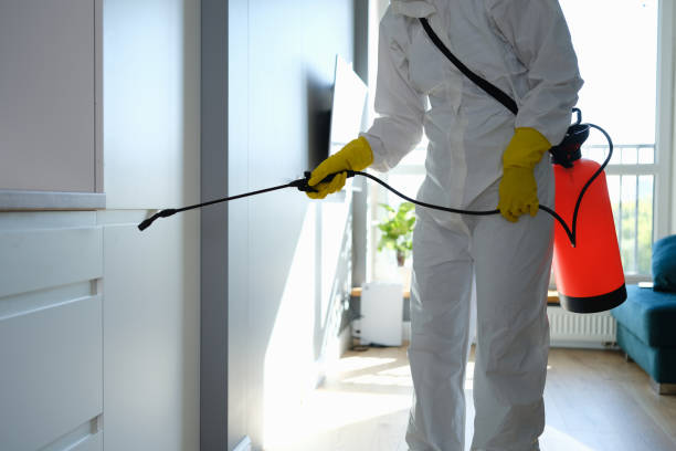 Professional Mold Removal in University Park, TX