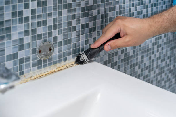 Best Best Mold Removal Companies  in University Park, TX