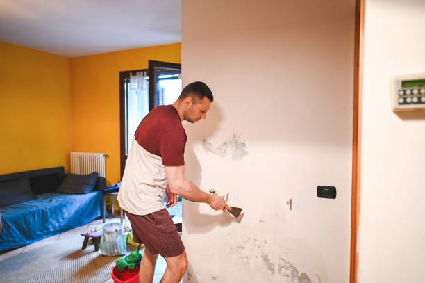 Best Same-Day Mold Removal  in University Park, TX